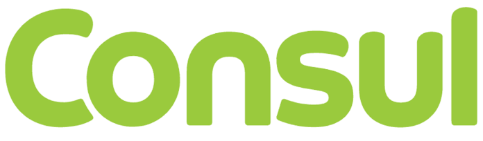 consul-696x557-1-e1701717755303.png